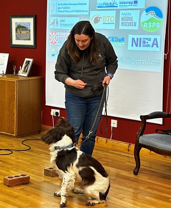 Conservation Detection Dogs